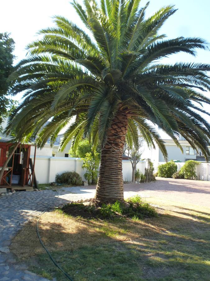 Cape Town Milnerton Lagoon Villa Eksteriør billede